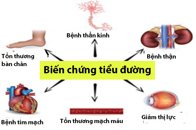 Tác dụng của Nấm Linh Chi với bênh tiểu đường-2