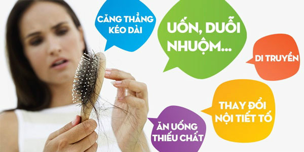 Nấm Linh Chi "khắc tinh" của chứng rụng tóc 2