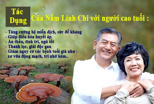 Bật mí công dụng của Nấm Linh Chi vàng đối với sức khỏe 2