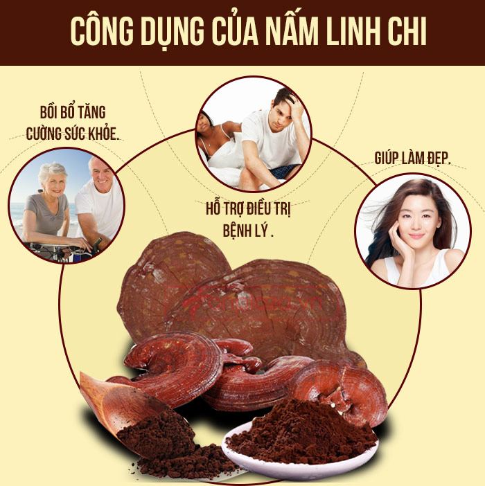 Đi tìm mùi vị đặc trưng của Nấm Linh Chi Hàn Quốc 4