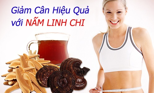 Vì sao nấm linh chi lại có tác dụng giảm cân? 1