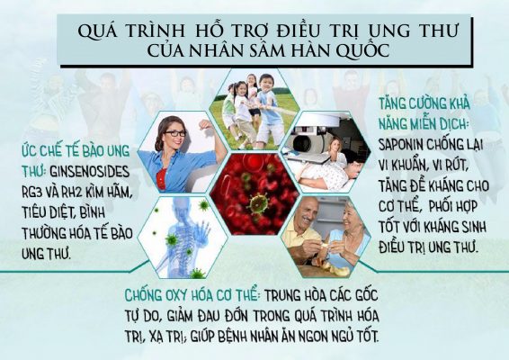 Tác dụng của nhân sâm tươi đối với sức khỏe và làm đẹp 2