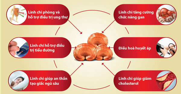 Bật mí 5 tiêu chí chọn nấm chất lượng có thể bạn chưa biết 2