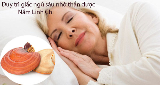 Tìm hiểu 5 thần phần "thần dược" có trong nấm linh chi 4