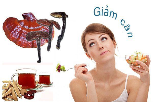 Dùng nấm linh chi để giảm cân, liệu có an toàn? 2