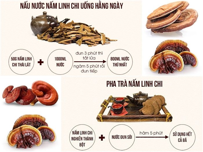 Phụ nữ mang thai và trẻ em có uống nấm linh chi được không? 4