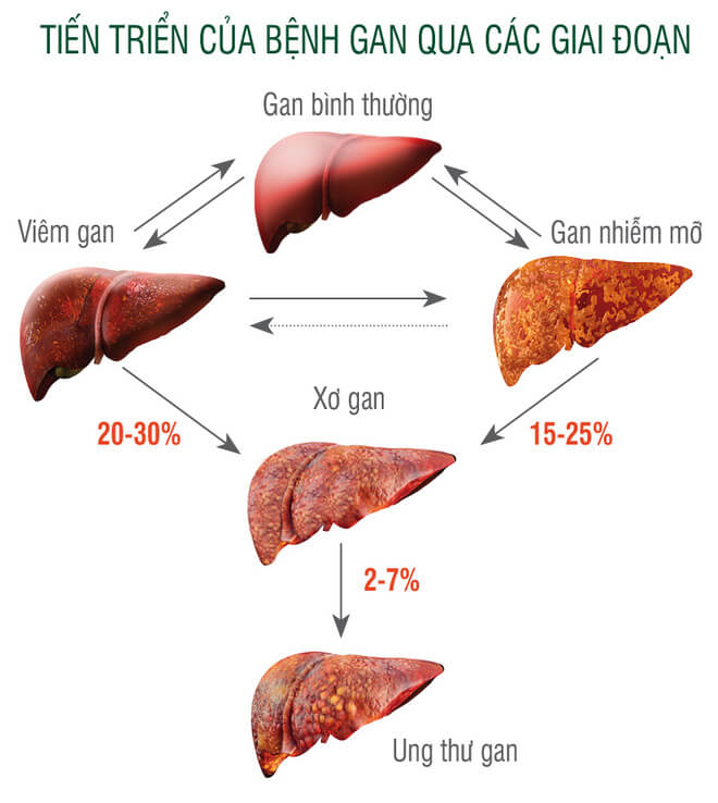 Nấm linh chi có tác dụng chữa ung thư như lời đồn thổi? 5